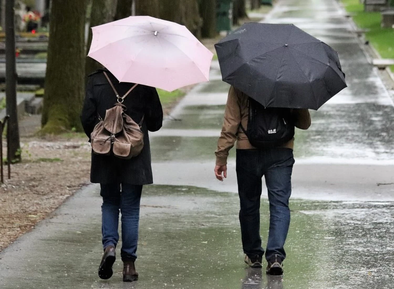 Meer maatjes voor mensen met een verstandelijke beperking 