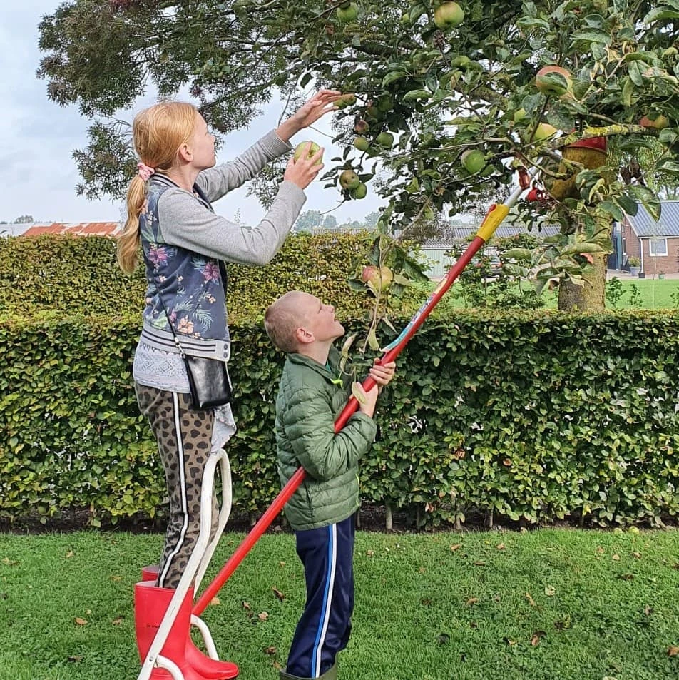 Kom je ook gratis appels plukken op 23 september?